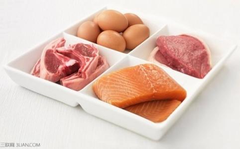 高蛋白饮食有哪些 富含高蛋白食物有哪些