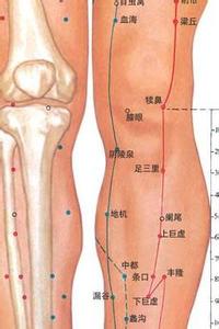 人体六大长寿穴位 人体的二个长寿穴