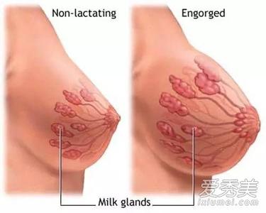 乳房排空多久会涨奶 排空乳房是促进涨奶