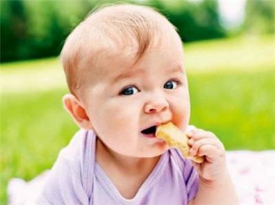 宝宝头发稀少吃什么好 宝宝头发稀少吃什么
