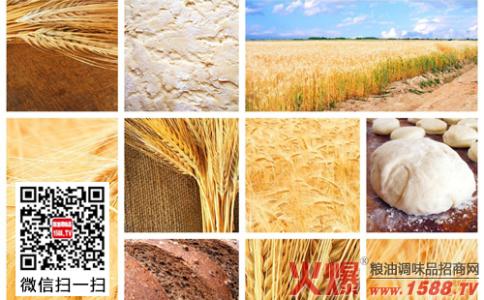 小麦面粉的营养成分表 小麦面粉营养价值