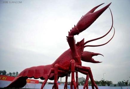 世界上最大的小龙虾 世界上最大的小龙虾雕塑