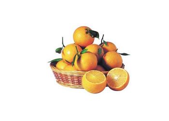 夏橙的功效与作用 皇帝柑的功效与作用