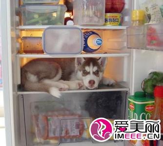 食物放冰箱几天变质 哪些食物放进冰箱后会变质