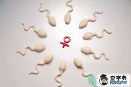吃什么有助于精子活力 吃什么有助于精子生长 能让精子生长的食物