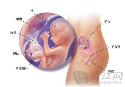 怀孕了乳房会分泌物 怀孕乳房有分泌物怎么办