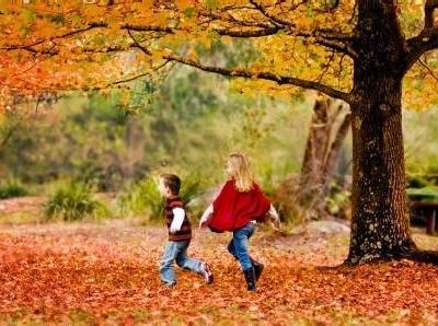 秋天凉爽的图片 怎么样在凉爽的秋天给孩子“添秋钙”