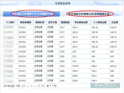 个人养老保险缴费查询 个人养老保险缴费明细查询