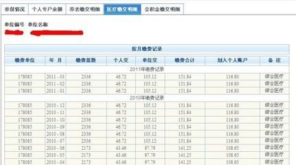 个人社保缴纳查询 怎样查询缴纳社保个人账户