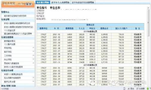 深圳个人社保查询明细 怎样查询社保缴费明细