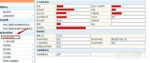 社会保险查询个人账户 河南社会保险查询个人账户