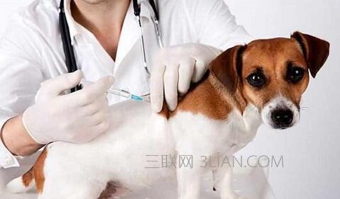 狗狗疫苗打完几天洗澡 狗打疫苗后多久才能洗澡