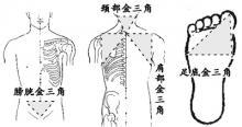 怎么缓解颈部肩部酸痛 关系你健康的肩部颈部三角区