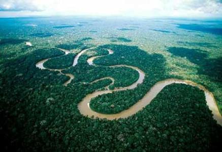 巴西热带雨林面积 世界热带雨林面积最大的国家巴西 世界面积最大的热带雨林