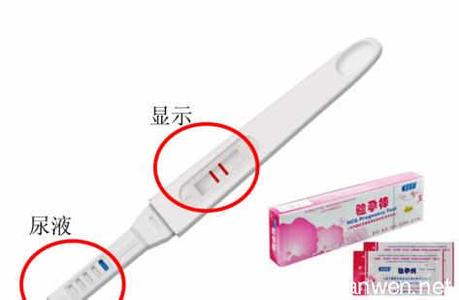 验孕棒如何使用图解 验孕棒的用法图解 验孕棒如何使用