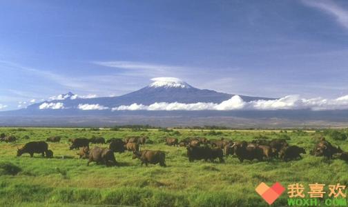 巴西高原面积 世界最大的高原是哪一个巴西高原 世界面积最大的高原