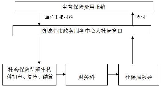 生育险报销标准2017 2016年生育保险报销新政策