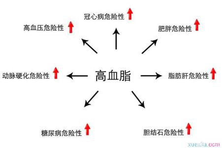 高血脂形成的原因 高血脂形成的时间有多长