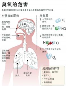 臭氧层是怎么形成的 臭氧是怎么形成的 臭氧的主要功能