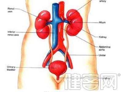 尿道结石是怎样形成的 尿道结石是怎样形成的 尿道结石怎么治疗