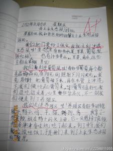 生态园作文400字 生态园作文