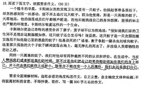 走自己的路作文800字 走自己的路【作文】