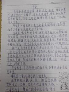 关于感恩的作文800字 关于感恩的作文