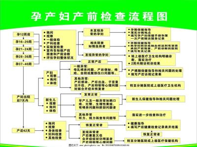 危重孕产妇抢救流程图 产妇检查流程