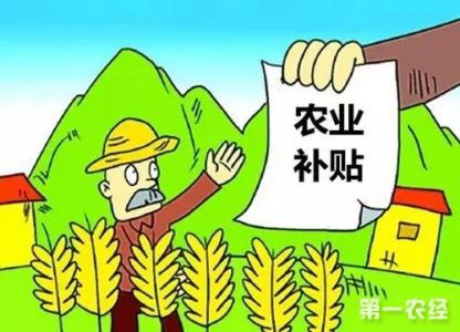 2017粮食直补发放时间 2017年农业补贴政策