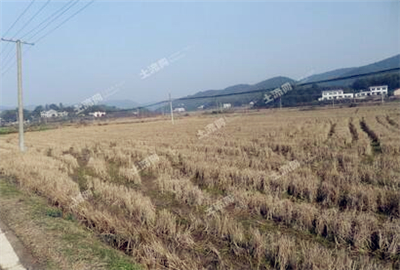 农村宅基地新政策2017 2017年农村土地新政策