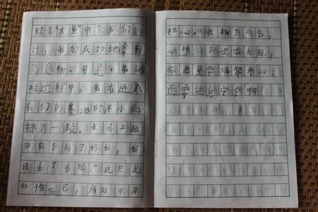 暑假趣事300字作文 暑假作文300字  四篇