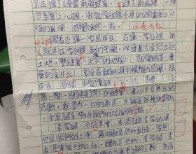 作文 我和粗心说再见 对粗心说再见400字【作文】