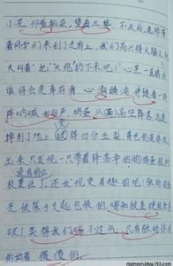 七公子2番外篇百度云 六年级作文：鸡蛋撞地球作文600字  七篇(2)