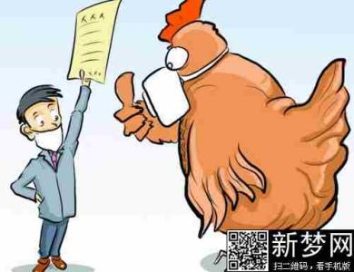 小心提防孙悟空 h7n9禽流感小心提防千万别受骗