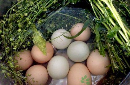三月三吃鸡蛋习俗介绍