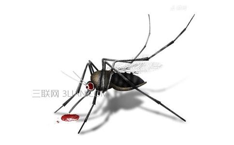灭蚊子最有效的方法 蚊子最怕什么