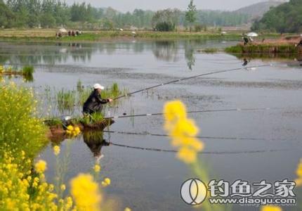 早春钓鱼技巧 北方地区早春季节的钓鱼技巧(2)