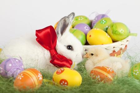 复活节与兔子 复活节的兔子和彩蛋