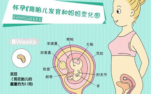 怀孕初期症状注意什么 怀孕初期症状以及注意事项