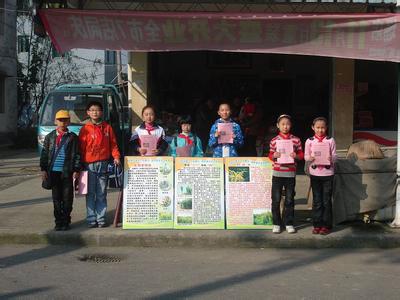 一枝黄花 学生倡议环保演讲―消除一枝黄花，保护生态家园