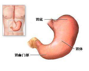 肠道胀气 肠道为什么老是胀气