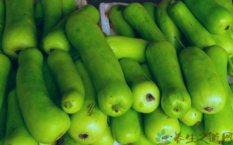 鹅肾的营养价值 好处 蒲瓜的营养价值 吃蒲瓜的好处