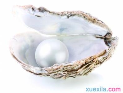 贝壳珍珠是用什么做的 贝壳的珍珠是怎么形成的
