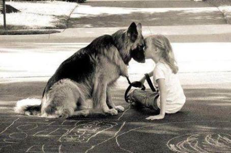 狗狗为什么那么忠诚 狗狗为什么对人类那么忠诚