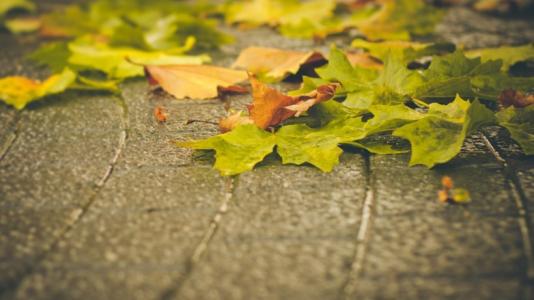 秋天的自然现象的词语 秋天的自然现象有哪些