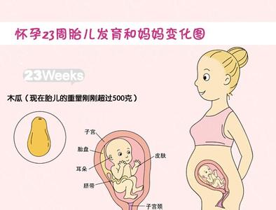 怀孕吃什么会流产偏方 吃什么快速怀孕偏方 快速怀孕的方法