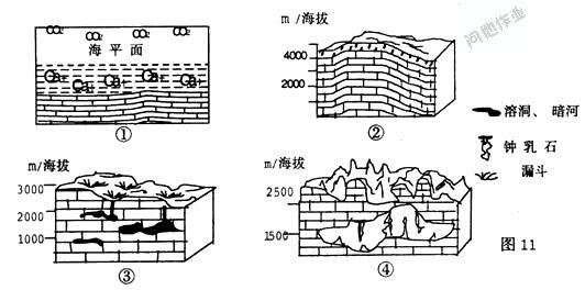 石灰岩的形成过程 石灰岩是怎么形成的