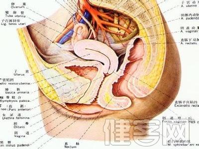 哪些习惯易发生盆腔炎