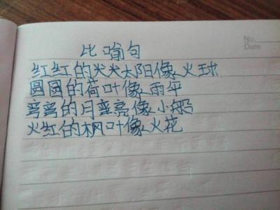 形容脸的句子比喻 描写妹妹的脸像什么的比喻句