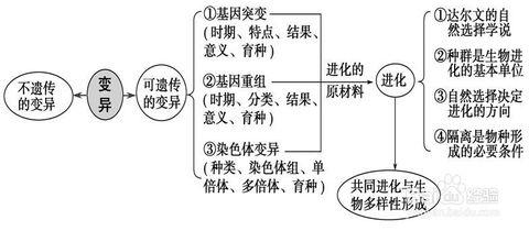 学习和复习生物的方法